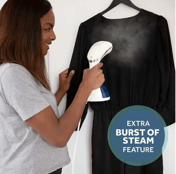 DIFEI handheld garment steamer — colour varies