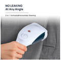 DIFEI handheld garment steamer — colour varies